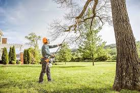 How Our Tree Care Process Works  in  Box Elder, SD